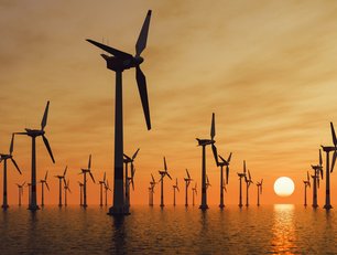 'Complex' wind energy supply chain slowing adoption - SAP