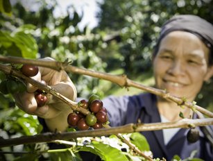 Fairtrade Fortnight focuses on sustainable supply chains