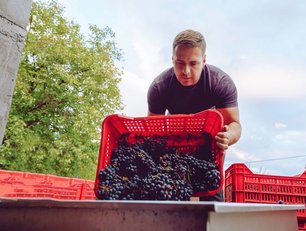 Why sustainable sourcing is a net zero necessity